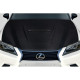 2013-2015 Lexus GS Series G200 GS300 GS350 GS450 GS450H Carbon Creations Alpine Hood - 2 Pieces - image 1
