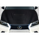 2013-2020 Lexus GS Series G200 GS300 GS350 GS450 GS450H Alpine Hood - 2 Pieces - image 1