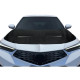2022-2025 Acura Integra Sakura Hood - 1 Piece - image 1