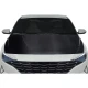 2021-2023 Hyundai Elantra OEM Look Carbon Fiber Hood - image 1