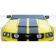 2005-2009 Ford Mustang GT-R Hood - image 1