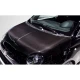 2012-2019 Fiat 500 DriTech OEM Look Hood - 1 Piece - image 1