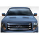 2009-2014 Ford F-150 Ram Air Hood - 1 Piece - image 1