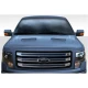 2009-2014 Ford F150 Ram Air Hood - image 1