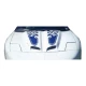1993-1997 Pontiac Firebird WS-6 Hood - image 1