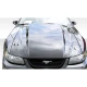 1999-2004 Ford Mustang Cowl Hood - image 1
