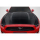 2015-2017 Ford Mustang TS 1 Hood - 1 Piece (S) - image 1