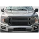 2018-2020 Ford F150 Rocky Grille - image 1