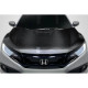 2016-2021 Honda Civic Type R Look Hood - 1 Piece - image 1