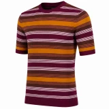 Side of the Capitol Stripe Retro Mod Knitted Men's T-shirt in Zinfandel