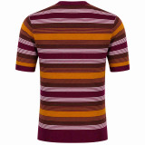 Back of the Capitol Stripe Retro Mod Knitted Men's T-shirt in Zinfandel