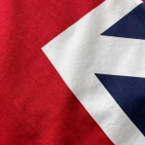 Fabric close up for Madcap England Mod Save The Queen! 1960s Mod Dress