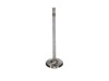 Manley Ford 4.6L 34mm Diameter 117.35mm Length Race Master Exhaust Valves (Set of 8) - 11630-8 User 2