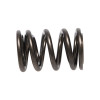 Manley Honda B Series Non V-Tec 16pc Valve Springs - 22120-16 User 2