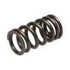 Manley Nissan (VQ35DET) 24pc Valve Springs - 22170-24 Photo - out of package