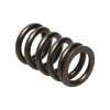 Manley Nissan (RB26DET) 24pc Valve Springs - 22175-24 Photo - Primary