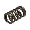 Manley Nissan (RB26DET) 24pc Valve Springs - 22175-24 Photo - out of package
