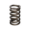 Manley Nissan (RB26DET) 24pc Valve Springs - 22175-24 User 1
