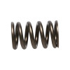 Manley Nissan (RB26DET) 24pc Valve Springs - 22175-24 User 2