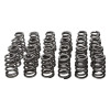 Manley Toyota Supra 2JZ 6 Cyl. Valve Spring and Retainer Kit (w/Valve Locks 13014-8) - 26135K Photo - Primary