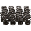 Manley Honda K20A/K20Z Valve Spring and Retainer Kit (w/o Valve Locks) - 26140 User 4