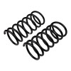 ARB / OME Coil Spring Rear Terracanr - 2603 Photo - out of package