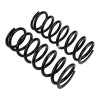 ARB / OME Coil Spring Rear Disco Ii Med - 2781 Photo - out of package