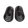 ARB / OME Coil Spring Rear Isuzu Trooper - 2912 Photo - Close Up