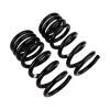 ARB / OME Coil Spring Rear Mits Pajero Nm-Md - 2917 Photo - out of package