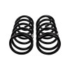 ARB / OME Coil Spring Coil Patrol Y61Feuropean- - 2972E Photo - Close Up
