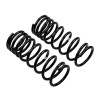 ARB / OME Coil Spring Rear Coil Nissan Y61 Swbr - 2GQ02A Photo - out of package