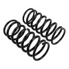 ARB / OME Coil Spring Rear G Wagon Med - 3030 Photo - out of package