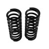ARB / OME Coil Spring Rear L/Rover - 3066 Photo - Unmounted