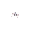 Photo - Unmounted