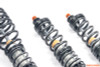 AST 4100 Series Coilovers Honda S2000 AP1/AP2 - ACS-H1301S Photo - Close Up