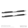 Westin 19-22 Chev/GMC Silverado/Sierra 1500 DC (Excl. 2019 Ltd) PRO TRAXX 5 Oval Nerf Step Bars - SS - 21-54120 Photo - Primary