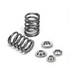 Supertech Mazda Miata 1.6L Single Valve Spring Kit - SPRK-MM16-S User 1