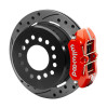 Wilwood Disc/Drum Rear Kit FDPLP-DS Big Ford - 140-15602-DR Photo - Primary