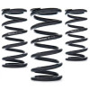 AST Linear Race Springs - 100mm Length x 160 N/mm Rate x 61mm ID - Set of 2 - AST-100-160-61 Photo - Primary