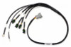 Haltech Mazda 13B Elite 1000/1500 High Output Inductive Coil Ignition Harness - HT-130336 User 1