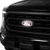 Putco 2023 Ford F-150 Front Luminix Ford LED Emblem - w/Camera CutOut w/o Spray Washer - 92606 Photo - Primary