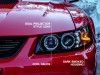 Photo - Close Up