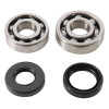 Hot Rods Bearing/Seal Kit Yz85 02-09 - K008 Photo - Primary