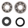 Hot Rods Bearing/Seal Kit Yz85 02-09 - K008 Photo - Primary