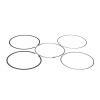 ProX 02-22 RM85 Piston Ring Set (48.00mm) - 02.3122 User 1
