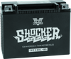 Twin Power YTX-24HL Shocker Battery Replaces H-D 66010-82A - 781155 Photo - Primary