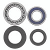 QuadBoss 1999 Yamaha YFM250 Bear Tracker (03) Rear ATV Wheel Bearing & Seal Kit - 413279 Photo - Primary