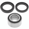 QuadBoss 99-05 Arctic Cat 250 2x4 (02) Front ATV Wheel Bearing & Seal Kit - 413374 Photo - Primary