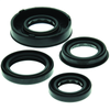 QuadBoss 04-06 Polaris Predator 50 Oil Seal Set - 564158 Photo - Primary