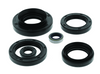 QuadBoss 15-20 Kawasaki KVF750 Brute Force/EPS Oil Seal Set - 564210 Photo - Primary